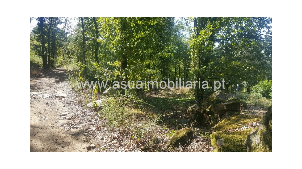 Terreno para Venda em Ferreiros, Prozelo e Besteiros Foto 11