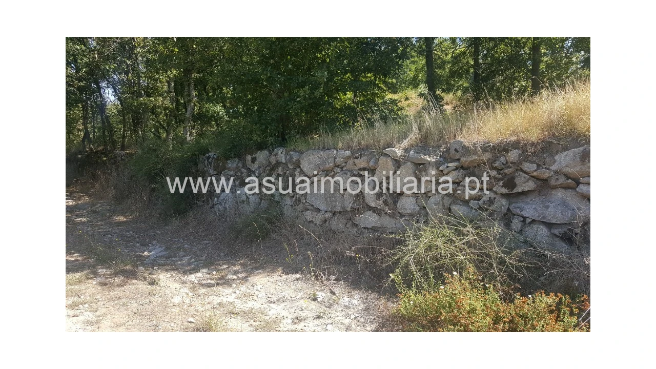 Terreno para Venda em Ferreiros, Prozelo e Besteiros Foto 7