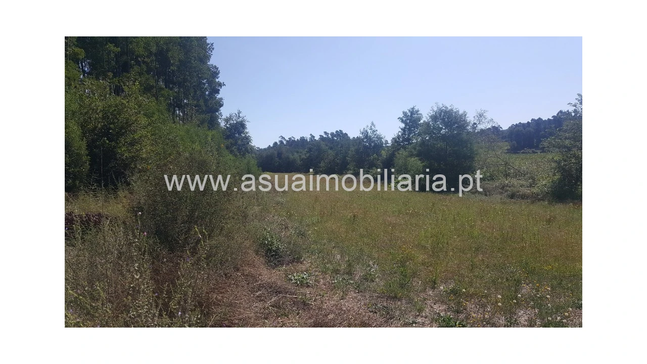 Terreno para Venda em Ferreiros, Prozelo e Besteiros Foto 5