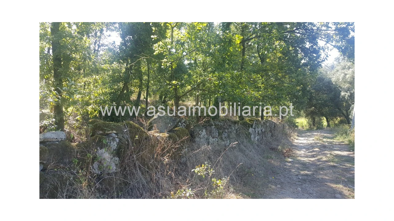 Terreno para Venda em Ferreiros, Prozelo e Besteiros Foto 10