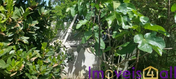 Terreno para Venda em Alte