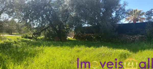 Terreno para Venda em Alte