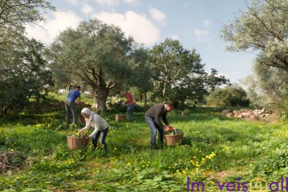 Terreno para Venda em Alte