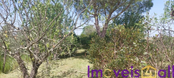 Terreno para Venda em Alte