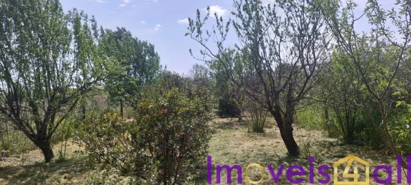Terreno para Venda em Alte