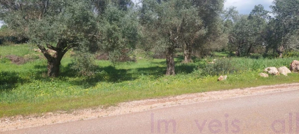 Terreno para Venda em Alte