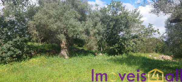 Terreno para Venda em Alte