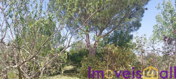 Terreno para Venda em Alte