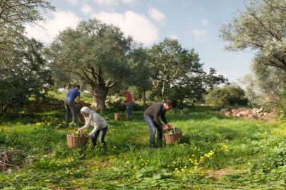 Terreno para Venda em Alte