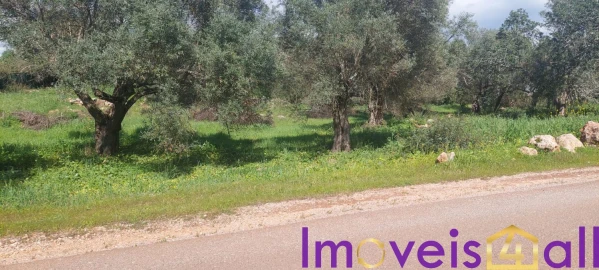 Terreno para Venda em Alte