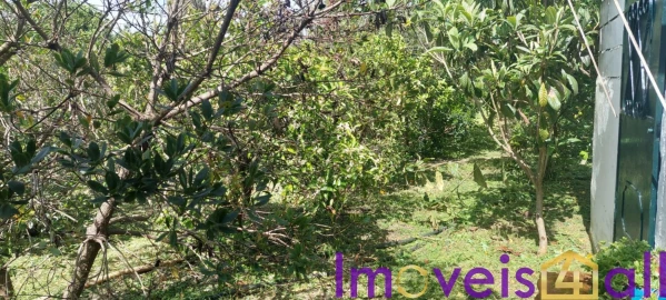 Terreno para Venda em Alte