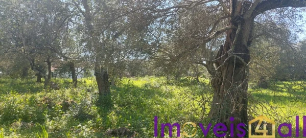 Terreno para Venda em Alte