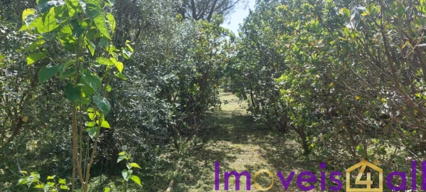 Terreno para Venda em Alte