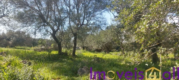 Terreno para Venda em Alte