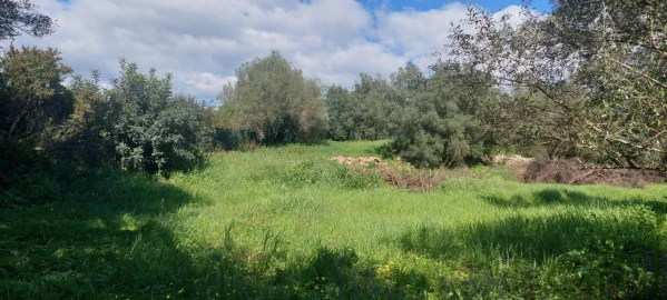 Terreno para Venda em Alte
