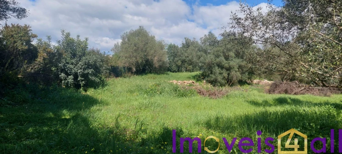 Terreno para Venda em Alte Foto 47