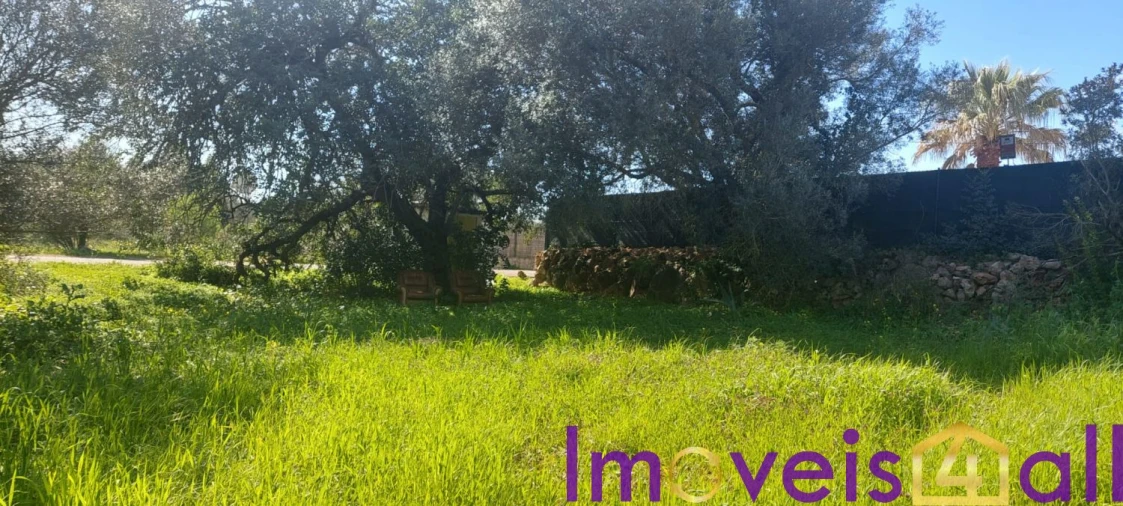 Terreno para Venda em Alte Foto 48