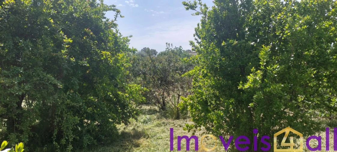 Terreno para Venda em Alte Foto 12