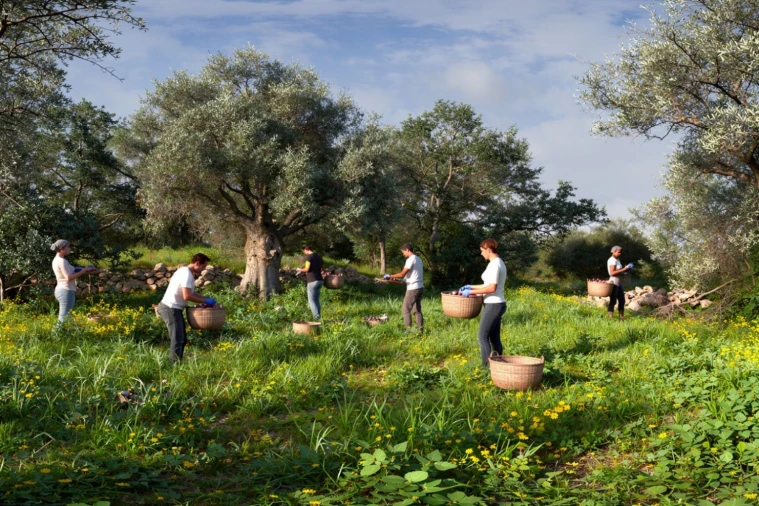 Terreno para Venda em Alte Foto 9