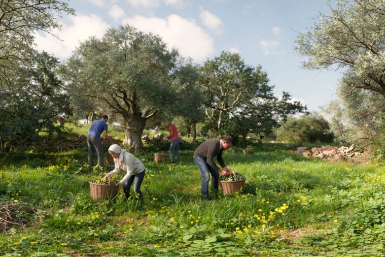 Terreno para Venda em Alte Foto 11