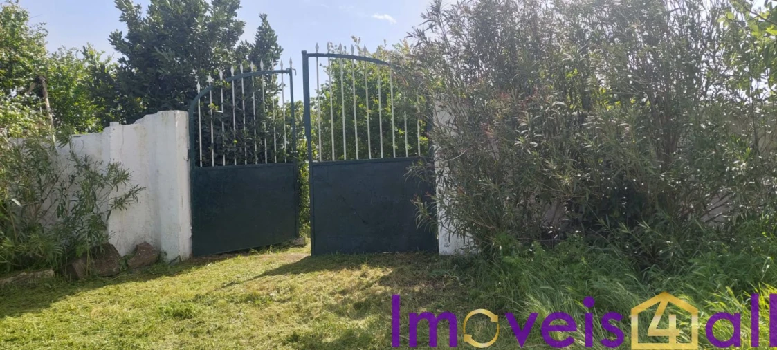 Terreno para Venda em Alte Foto 13