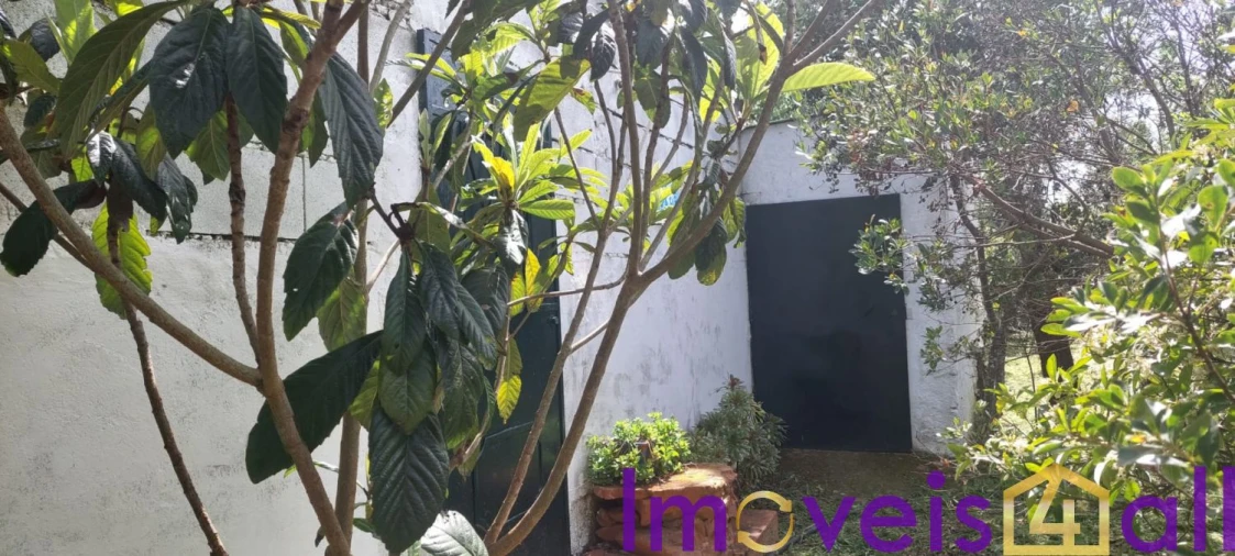 Terreno para Venda em Alte Foto 23