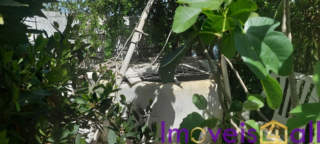 Terreno para Venda em Alte Foto 19