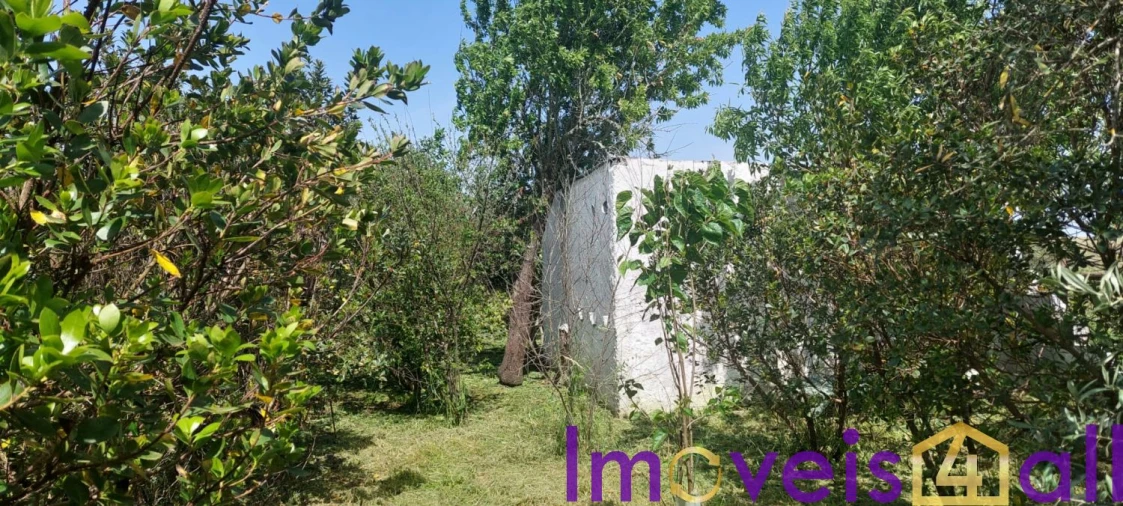 Terreno para Venda em Alte Foto 29