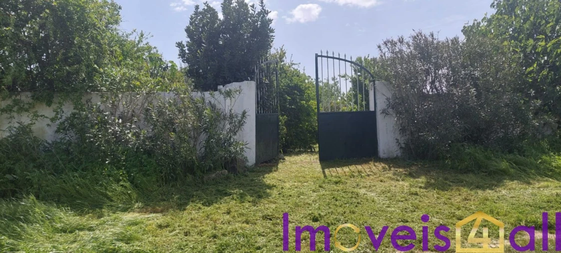 Terreno para Venda em Alte Foto 14