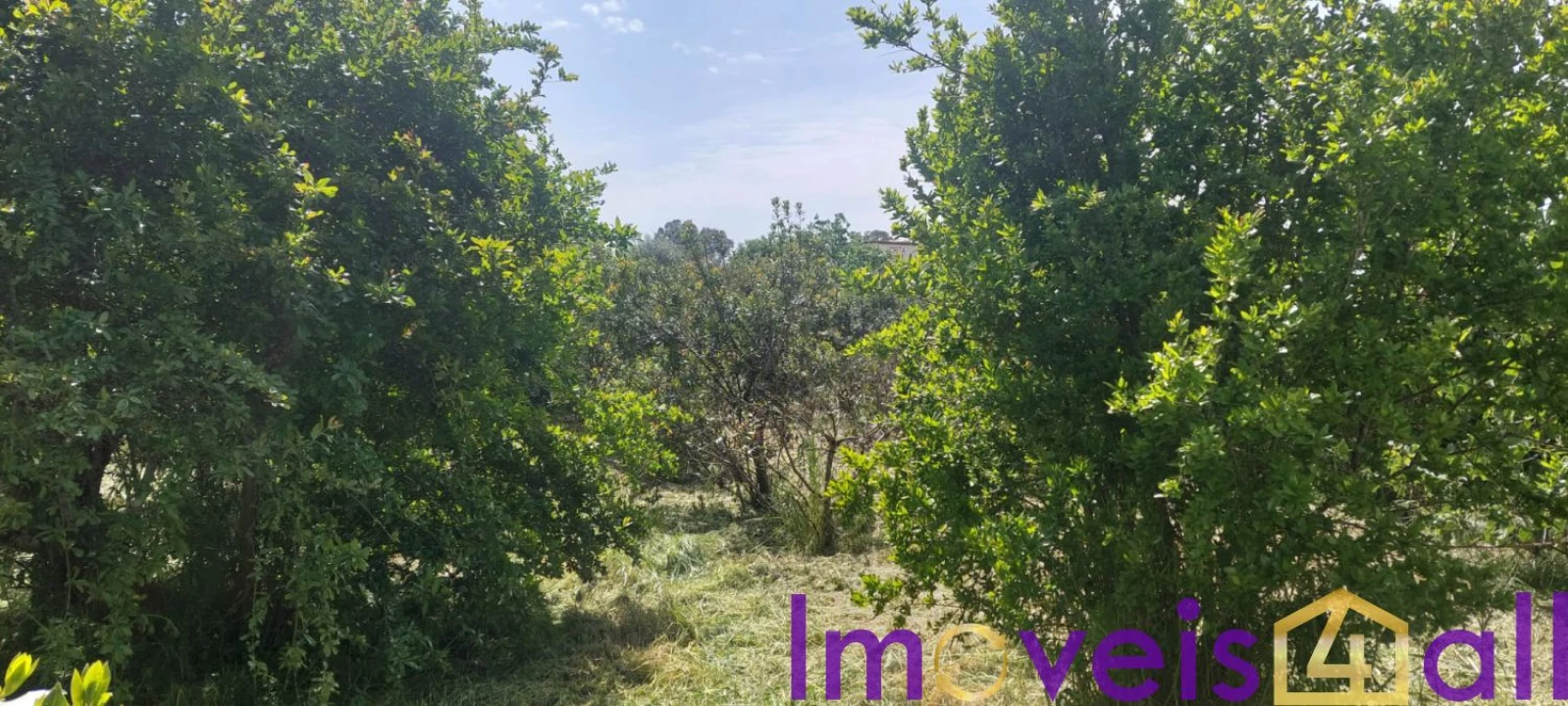 Terreno para Venda em Alte Foto 12