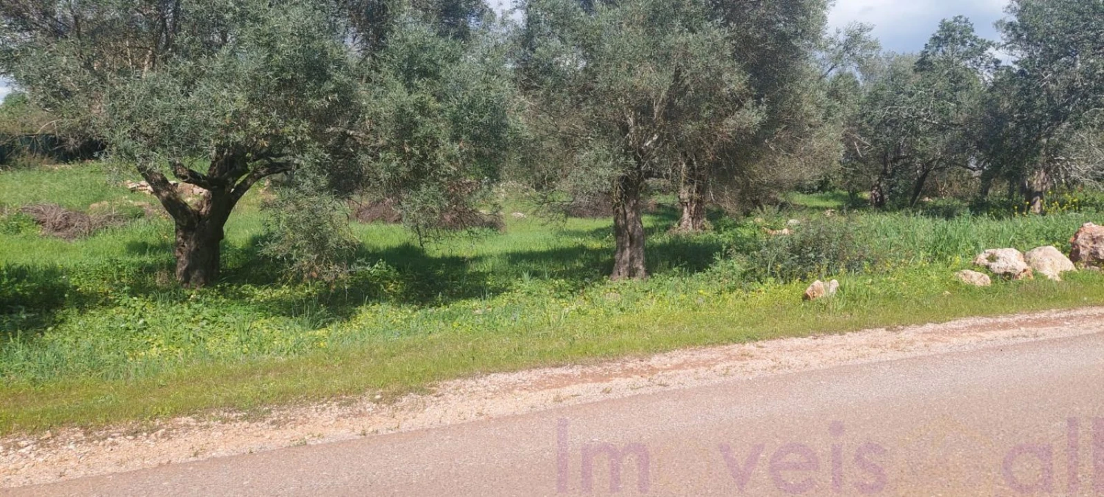 Terreno para Venda em Alte Foto 4