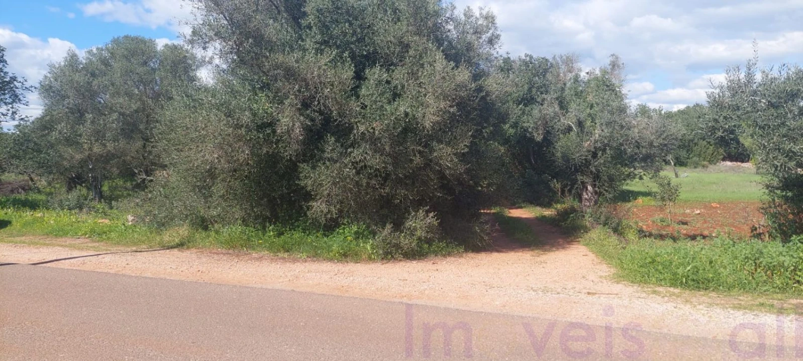 Terreno para Venda em Alte Foto 5