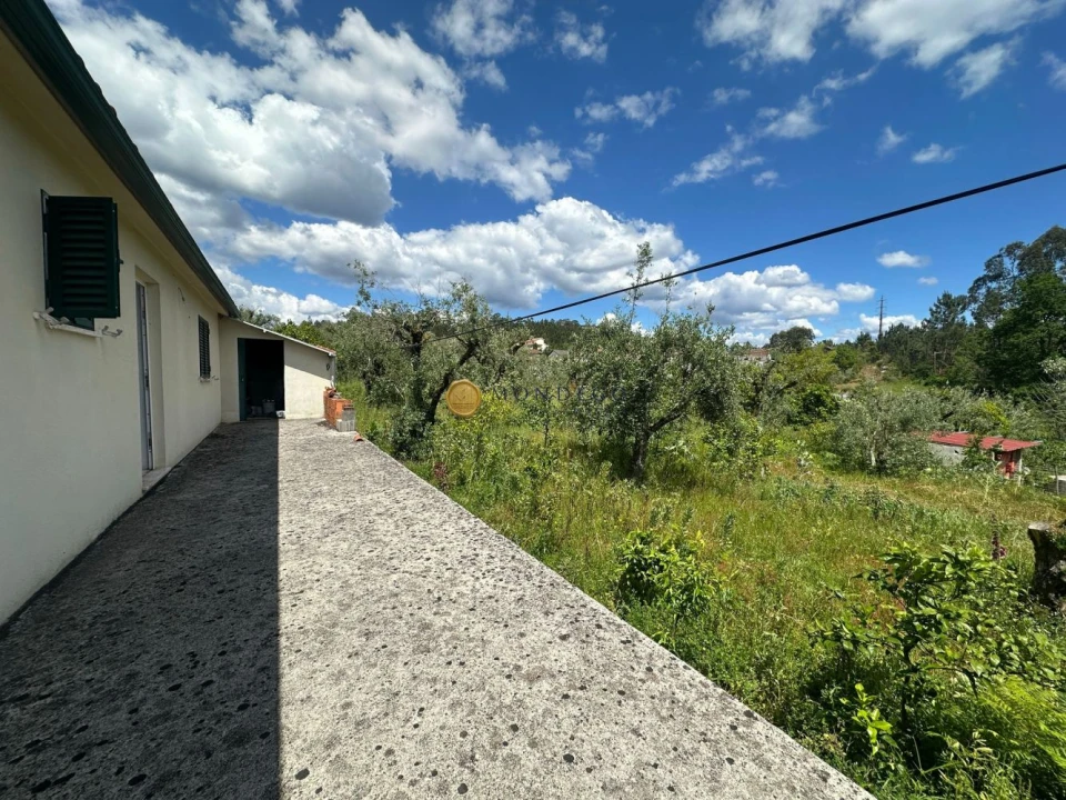 Moradia T2 para Venda em Semide e Rio Vide Foto 21