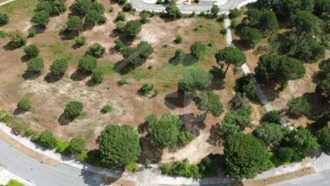 Terreno para Venda em Santo Estêvão