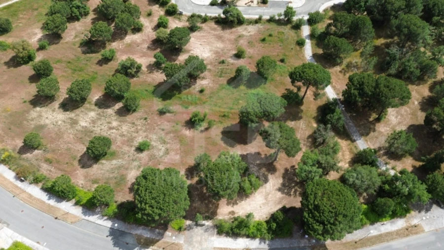 Terreno para Venda em Santo Estêvão Foto 5