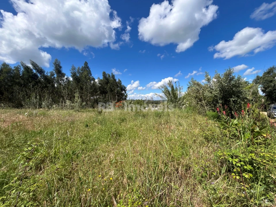 Terreno Agricola ou Rústico para Venda em Areias e Pias Foto 18