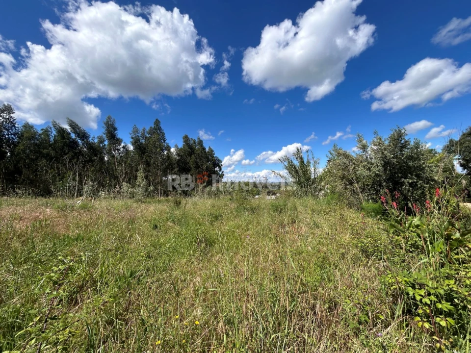 Terreno Agricola ou Rústico para Venda em Areias e Pias Foto 19