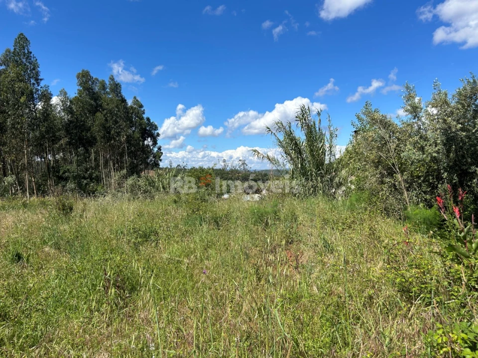 Terreno Agricola ou Rústico para Venda em Areias e Pias Foto 20