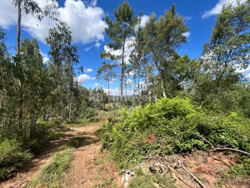 Terreno Agricola ou Rústico para Venda em Areias e Pias