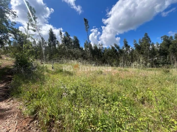 Terreno Agricola ou Rústico para Venda em Areias e Pias