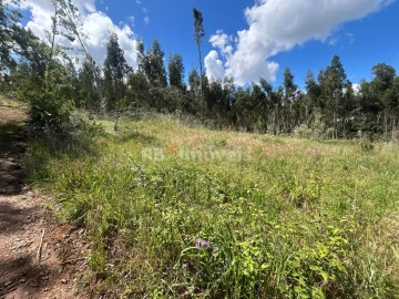 Terreno Agricola ou Rústico para Venda em Areias e Pias