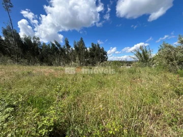 Terreno Agricola ou Rústico para Venda em Areias e Pias