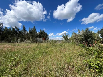 Terreno Agricola ou Rústico para Venda em Areias e Pias