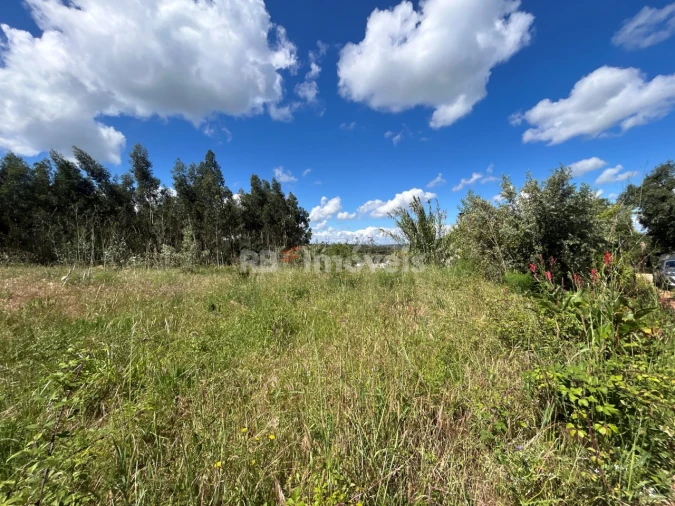 Terreno Agricola ou Rústico para Venda em Areias e Pias Foto 18