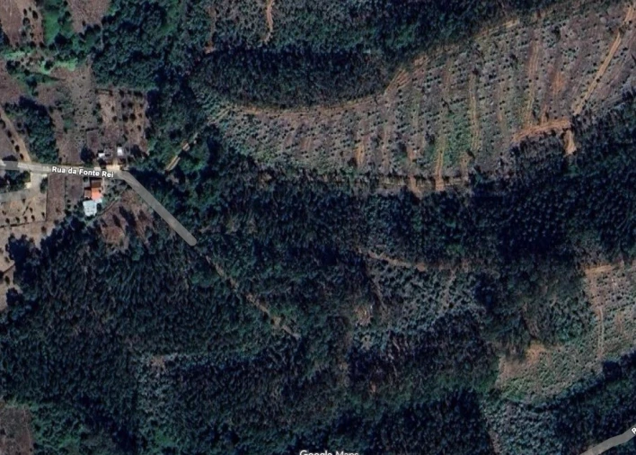 Terreno Agricola ou Rústico para Venda em Areias e Pias Planta 2
