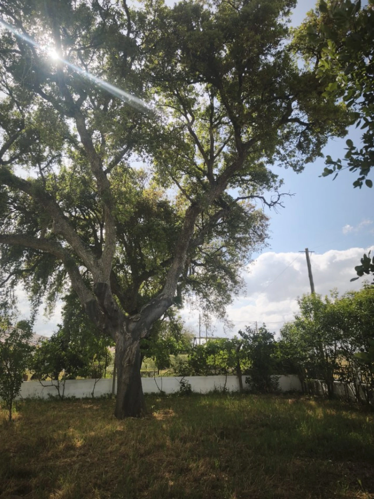 Moradia T3 para Venda em Glória do Ribatejo e Granho Foto 34
