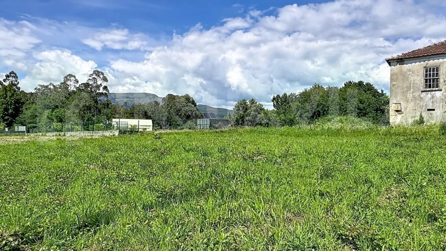 Terreno para Venda em Torre e Vila Mou