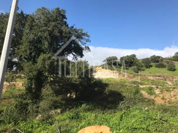 Terreno para Venda em Malveira e São Miguel de Alcainça
