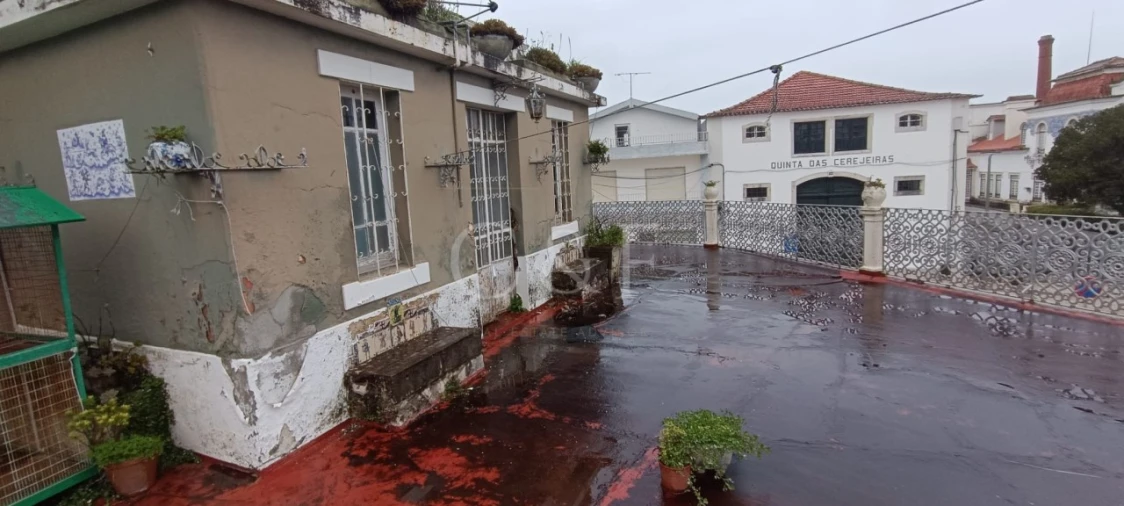 Moradia T5 para Venda em Bombarral e Vale Covo Foto 9