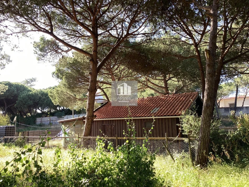 Terreno para Venda em Charneca de Caparica e Sobreda Foto 3